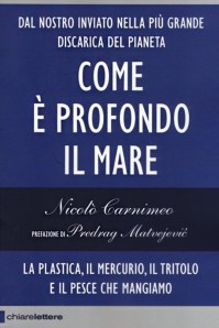 Copertina Come è profondo il mare, di Nicolò Carnimeo